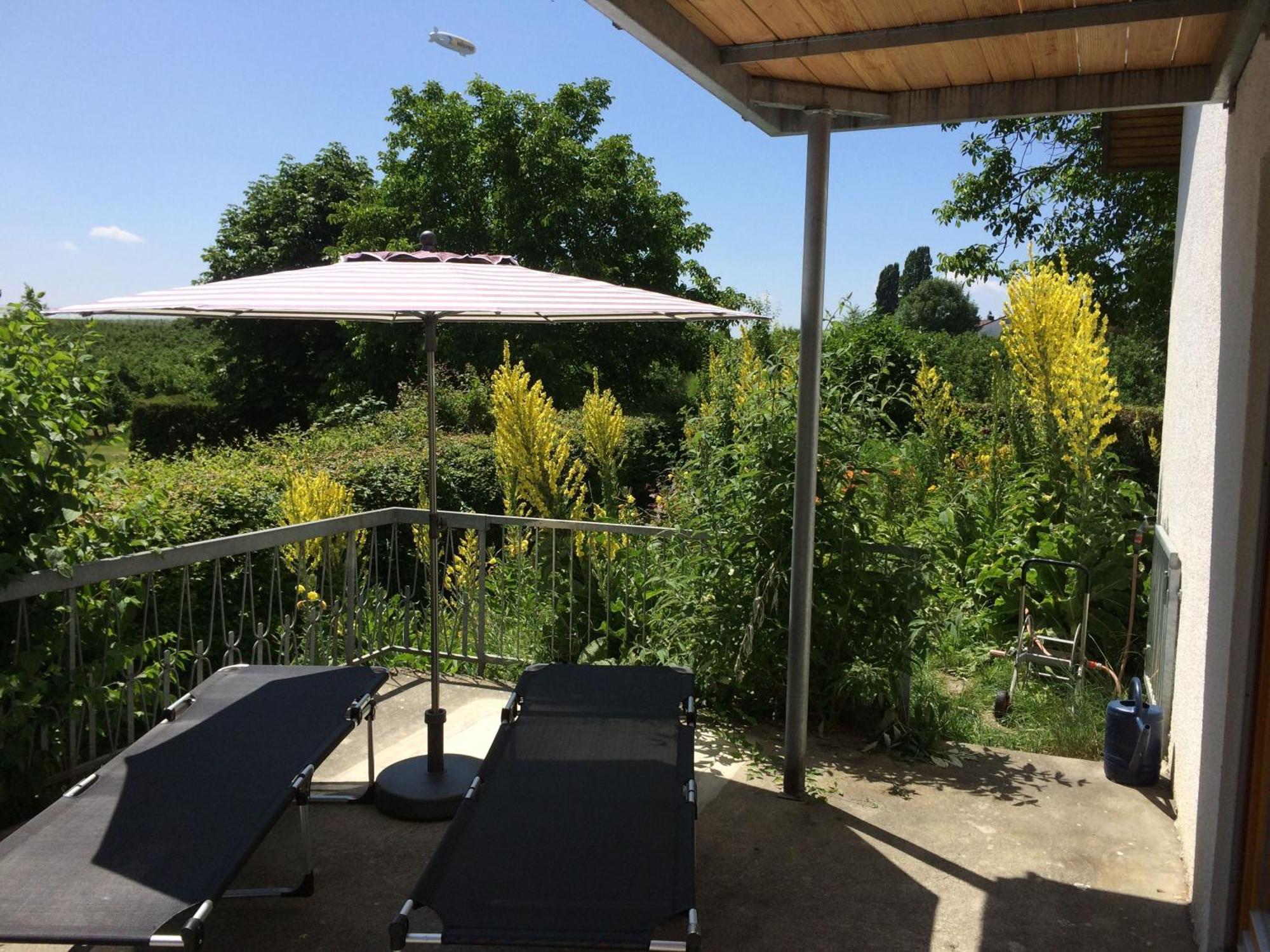 Apartment Blütenweg Kluftern Friedrichshafen