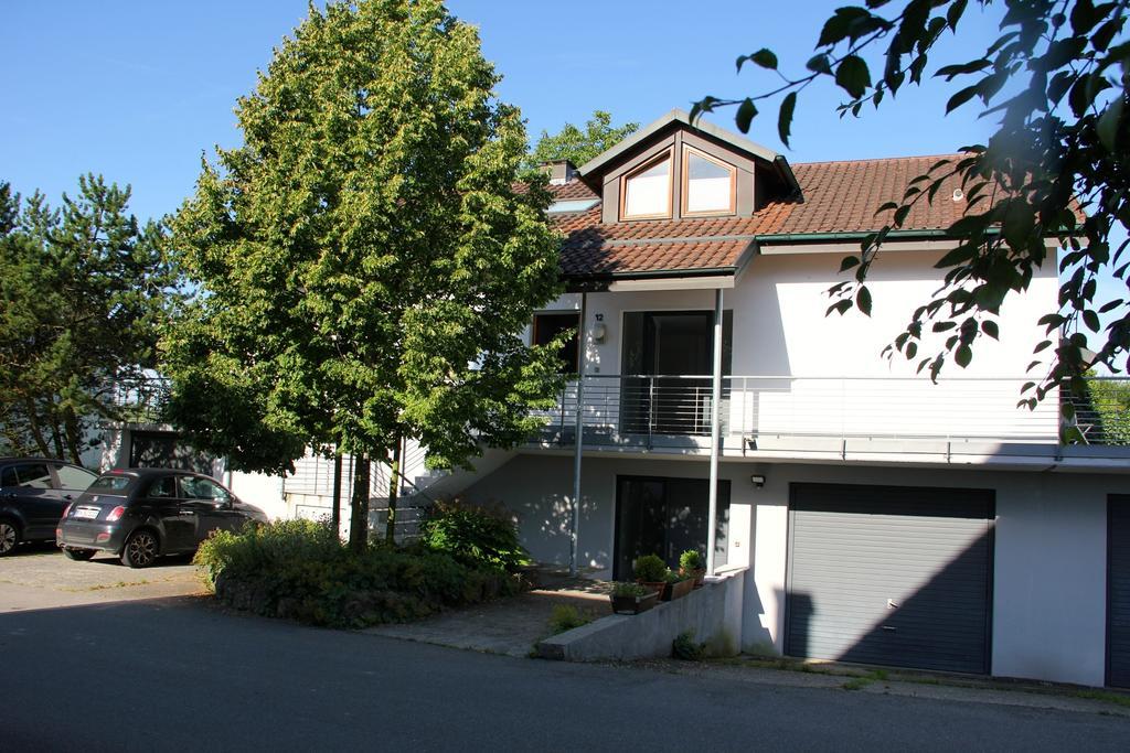 Blütenweg Kluftern *
